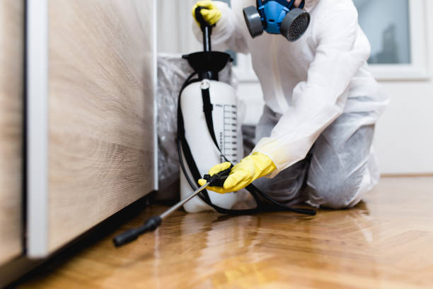 Best Rat Extermination Near Me  in Lebanon, OH