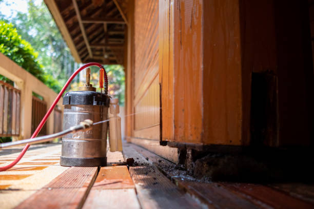 Best Cockroach Control Services  in Lebanon, OH