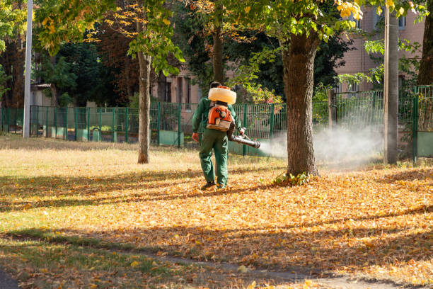 Best Local Pest Control Services  in Lebanon, OH